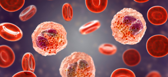 Microbiology department